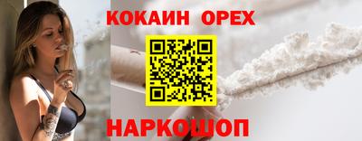 соль ск Сланцы