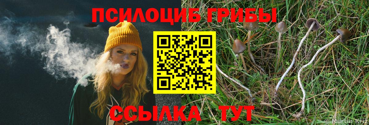 Белебей  Псилоцибиновые грибы Psilocybe  Вход с VPN 