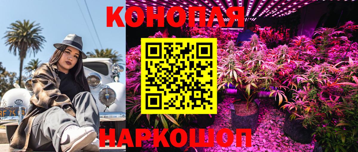 Марихуана планчик  Каннабис планчик  Вход с VPN  Бошки Шишки ГИДРОПОН  Белебей 